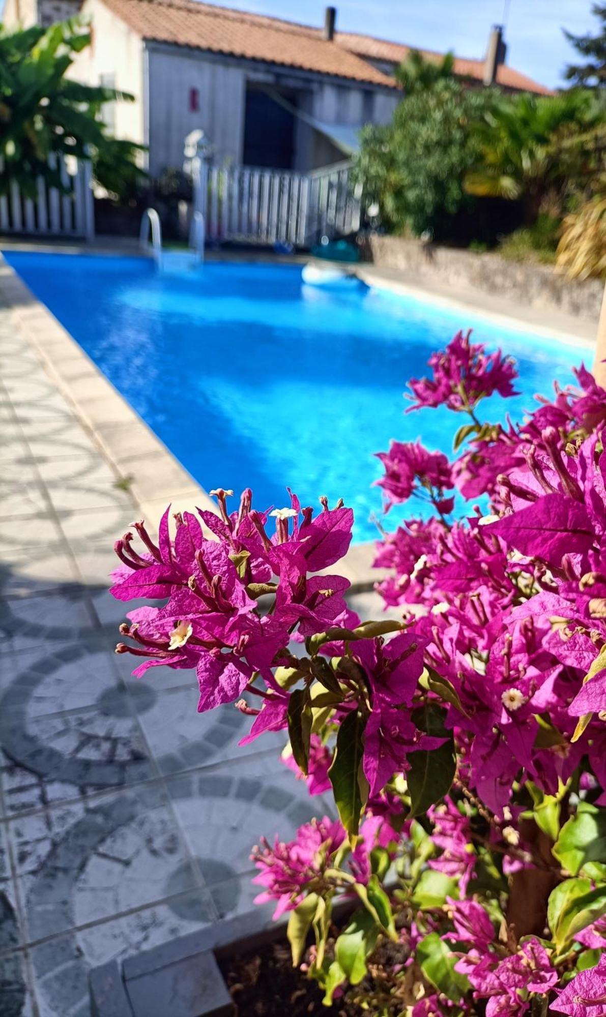 Bed and Breakfast Les Bichettes Mortagne-sur-Sevre Exteriér fotografie